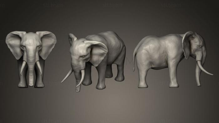 Статуэтки животных African Elephant